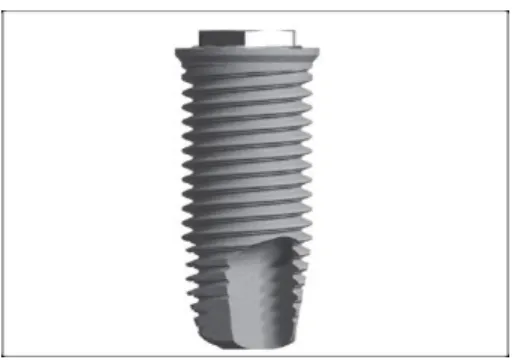 Figure 12 – Implant Brånemark System ®  TiUnite TM . 