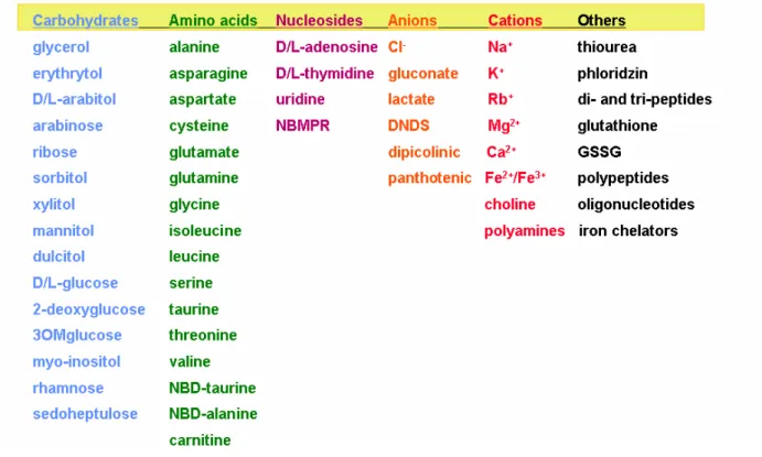 Figure 4 : Solutés pour lesquels une perméabilité via les NPPs a été démontrée  