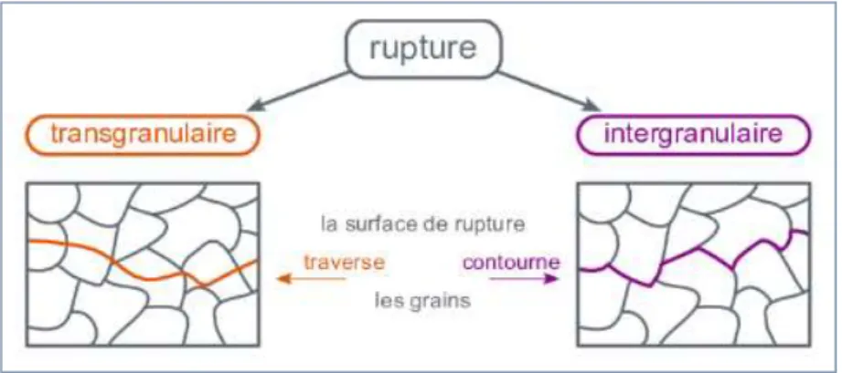 Figure  3  :  Faciès  d’une  rupture  fragile  transgranulaire  en  MEB  (source :  http://www.vgoinc.com/general/fractures-in-the-sem) 