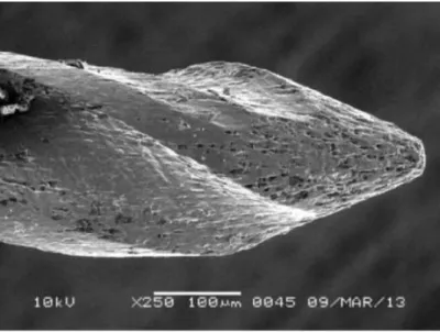 Figure  6  :  Image  au  MEB  de  la  pointe  d’un  instrument  en  NiTi  montrant  des  microcavités de surface après plusieurs cycles de stérilisation (source : AbuMostafa  et coll., 2015) 