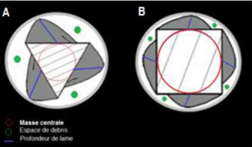 Figure  16  :  Instrument  en  NiTi  avec  section  de  coupe  variable  (source :  brochure  OneShape ® , MICRO-MEGA) 