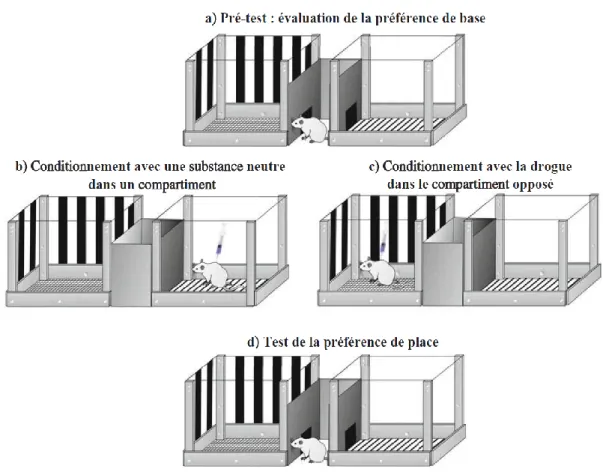 Figure 12 : Schéma illustrant le protocole de préférence de place conditionné. 