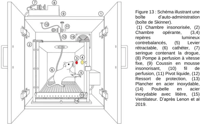 Figure 13 : Schéma illustrant une  boîte  d’auto-administration  (boîte de Skinner).   (1)  Chambre  insonorisée,  (2)  Chambre  opérante,  (3,4)  repères  lumineux  contrebalancés,  (5)  Levier  rétractable,  (6)  cathéter,  (7)  seringue  contenant  la  