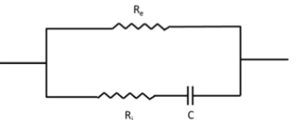 Figure  2 :  Schématisation  du  circuit  électrique  constitué  par  la  matière  biologique