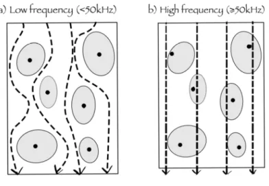 Figure  3 :  Schéma  représentant  les  modalités  de  passage  d’un  courant  électrique  (flèche  en  pointillé) soit a) uniquement dans l’espace extracellulaire (basses fréquences, &lt; 50 kHz), soit  b)  au  travers  de  l’ensemble  des  structures  (h