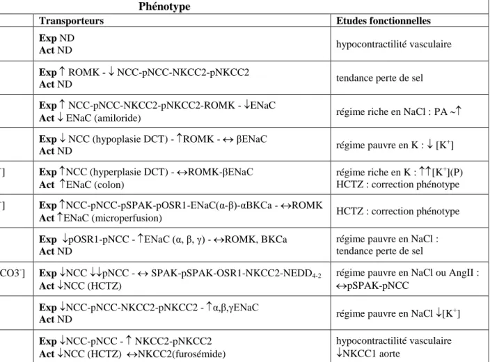 Tableau 3 : Phénotype des principaux modèles animaux générés pour étudier WNK1/4 et SPAK  Ionogramme P/U : ionogramme plasmatique et urinaire ; PA : Pression Artérielle 