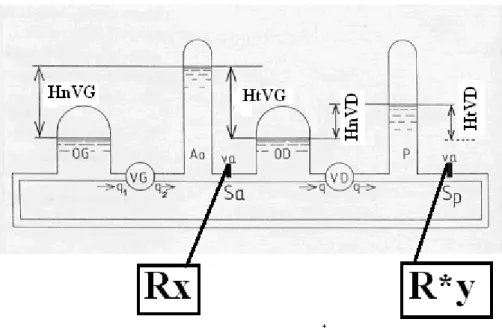Figure 7. Schéma du simulateur de la circulation sanguine. Rx symbolise le niveau de  résistance artérielle systémique