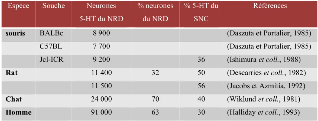 Tableau 1: Nombre des neurones sérotoninergiques dans le noyau du raphé dorsal (d’après  Thevenot, 2003) 