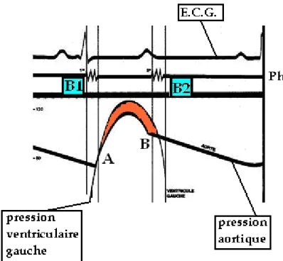 Fig. 13 : Tracés de WIGGERS (38) 