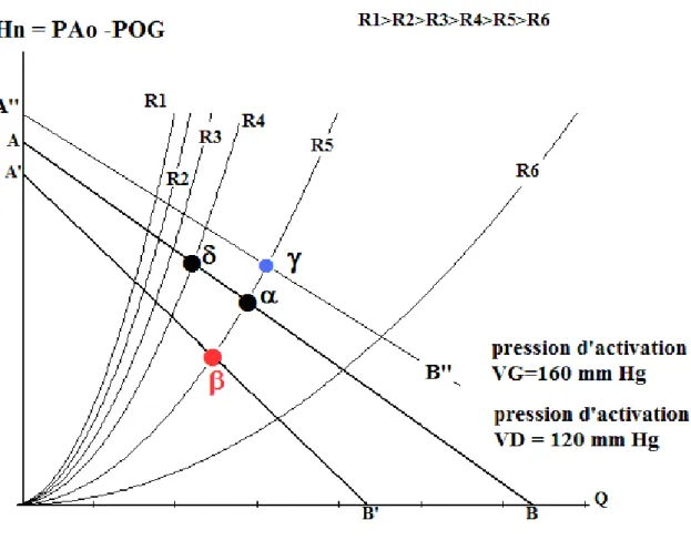 Figure  10.  Courbes  caractéristiques  du  ventricule  gauche  (AB)  avec  résistance  artérielle  pulmonaire  fixe