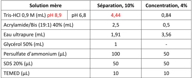 Tableau 6 : Exemple de composition d'un gel d'acrylamide 10% pour deux gels de 0,5 mm d’épaisseur