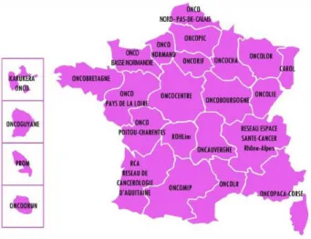 Figure 12 - Répartition des Réseaux Régionaux de Cancérologie en France (31) 