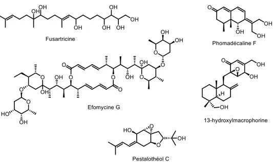 Figure II. 8. Métabolites secondaires produits par des endophytes possédant une activité antimicrobienne  contre des pathogènes humains