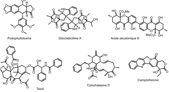 Figure  II.  9.  Exemples  de  métabolites  secondaires  produits  par  des  endophytes  possédant  une  activité  cytotoxique contre différentes lignées cellulaires
