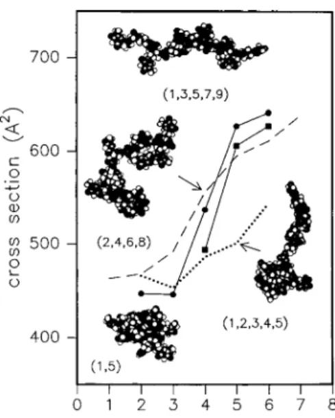 Figure 20 : Section efficace d’un polymère en fonction de son état de charge. 