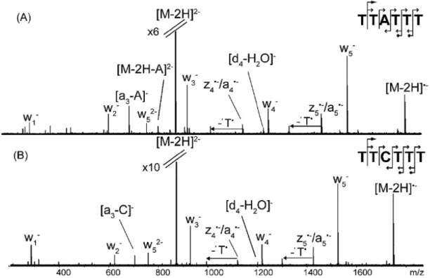 Figure 3. Spectres EDD de [M-2H] 2-  (a) m/z 884 pour d(T 2 AT 3 ) et (b) m/z 872 pour d(T 2 CT 3 )  ADN