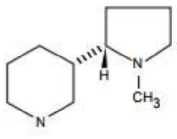 Figure 17 : Structure chimique de la nicotine (Inserm, 2004). 