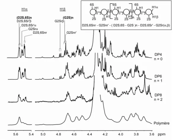 Figure 36: Spectre  1 H-RMN à 70 °C du polymère λ-carraghénane broyé et des  oligosaccharides carraoctaose (DP8), carrahexaose (DP6) et  néo-λ-carraoctaose (DP4)
