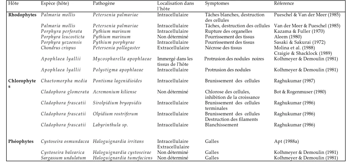 Figure 6 : Interaction champignons-algues (Correa, 1996)
