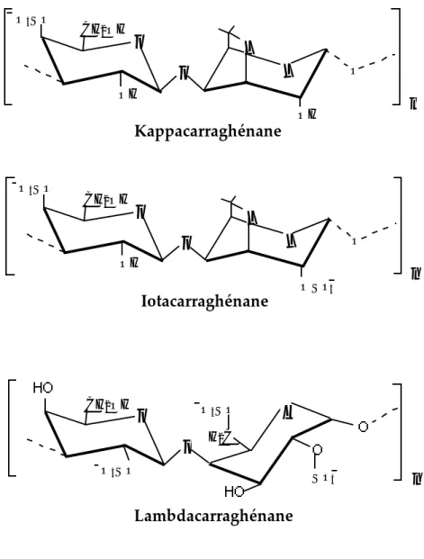 Figure 10 : Structure idéale des carraghénanes d’algues rouges