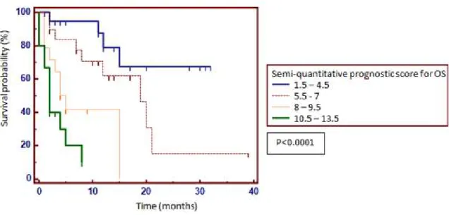 Figure 4. Progression free survival probability according to time 