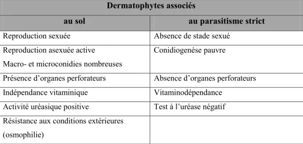 Tableau 3 : Caractéristiques des dermatophytes. 