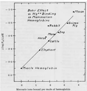 Figure 8.  Relation entre effet Bohr et quantité de mercure lié par l'hémoglobine. D'après Riggs (1959) 