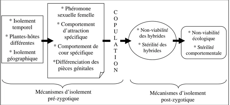 Figure 2 : Les différentes mécanismes d’isolement pré et post-zygotique chez les Lépidoptères