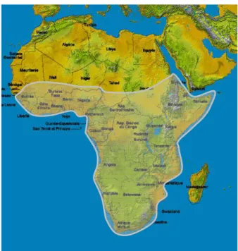 Figure 3 : Carte d’Afrique, le tracé blanc représente l’Afrique Sub-Saharienne. 