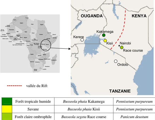 Figure 5 : Carte du Kenya (Google Earth) indiquant les localités de prélèvements des B