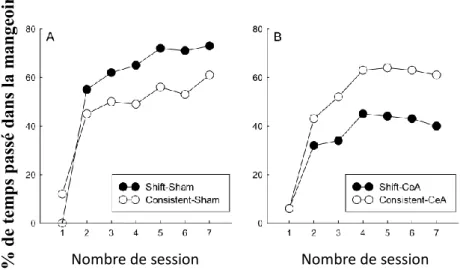 Figure I6: Les courbes  représentent le pourcentage de temps passé dans la mangeoire lors du  test  pour  les  rats  sham  (A)  et  les  rats  porteurs  de  lésions  du  noyau  central  (CeA)  de  l’amygdale (B) dans une tâche de prédiction en série