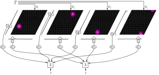 Fig. 3.7 – Modèle de décodage des cellules de grilles. La vitesse courante ~ V permet de mettre à jour l’activité de 4 grilles de périodes différentes ; le calcul des barycentres circulaires de l’activité des grilles projetées sur deux axes permet le décod