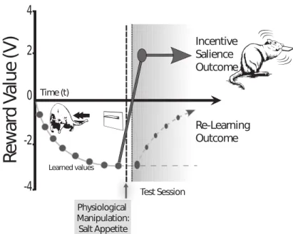 Figure 2.10 – Illustration du changement comportemental pour l’hypothèse motivationnelle ou lié à l’apprentissage après avoir rendu un résultat attractif