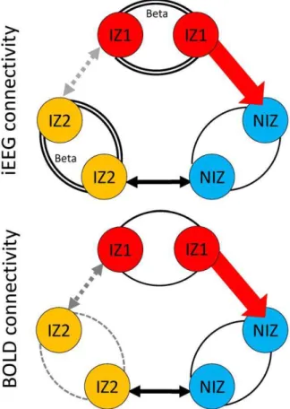 Figure 5 summarizes basal functional connectivity organization assessed by iEEG and BOLD signal and causality between zones.