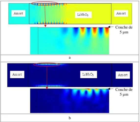 Figure 2-8: Modèle de modélisation de la propagation des ondes SAW sur COMSOL® ; (a) :  potentiel ; (b) : déplacement 