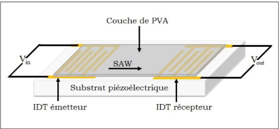 Figure 3-3: Configuration des capteurs fonctionnalisés avec la couche de PVA  