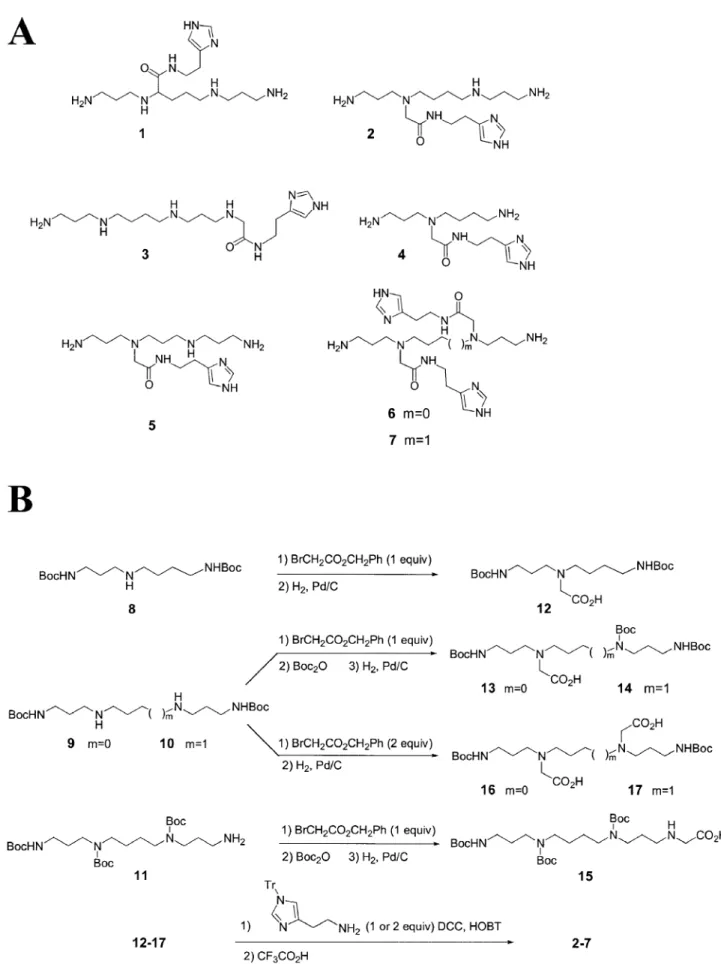 Figure 1. Chemical structures (A) and scheme of synthesis (B) of seven polyamine derivatives for RNA hydrolysis.