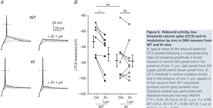 Figure 6. Rebound activity, low threshold calcium spike (LTCS) and its modulation by zinc in DRG neurons from WT and KI mice