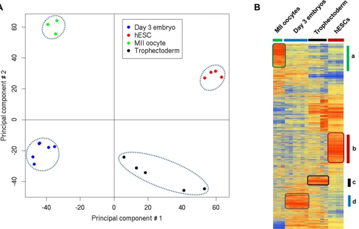 Figure 1. Gene expression patterns of day 3 human embryos, mature MII oocytes, TE cells and hESC cells