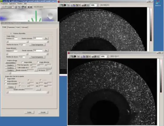 Figure 4.4 Visualisation des images volumiques et mesure des déplacements volumique avec  le logiciel CorrelVol 