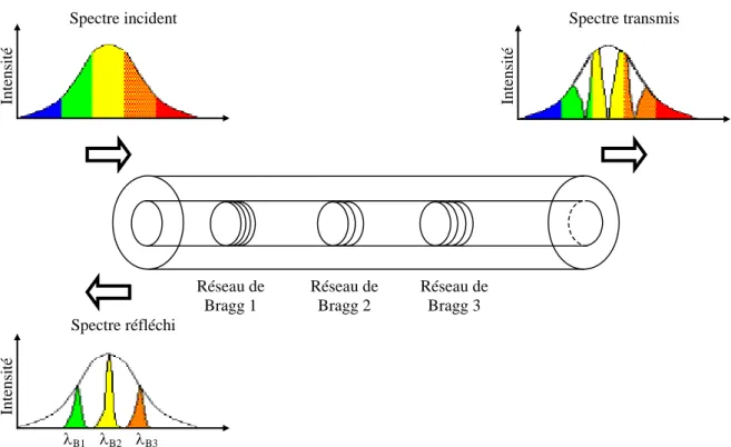 Figure 1.9 Schéma de principe d’une fibre optique à réseaux de Bragg 