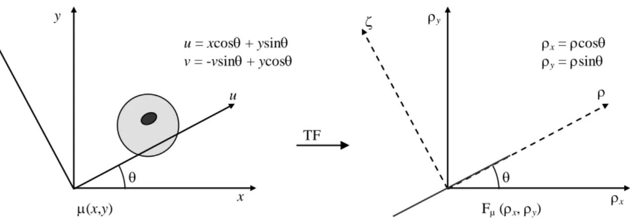 Figure 2.9 Théorème de coupe projection : espace réel et espace de Fourier 