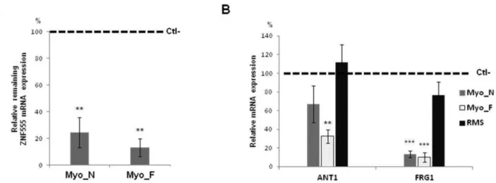 Figure 7. ZNF555 knockdown promotes the changes of ANT1 and FRG1 expression. (A) Representative knockdown of ZNF555 in primary normal and FSHD myoblasts using esiRNA