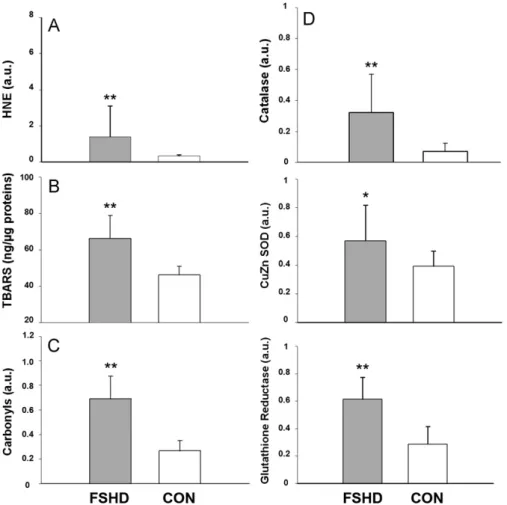 Fig. 2. Oxidative stress and antioxidant response in quadriceps muscle biopsies from 12 patients with FSHD and 9 controls (CON)