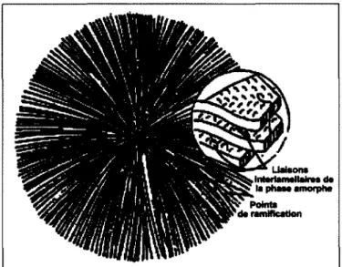 Figure 4  : Représentation schématique d'un sphérolite et des lamelles le constituant