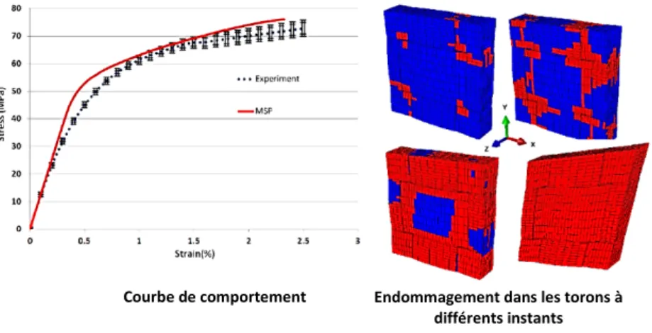 Figure 1-30 : Comparaison expérimental et homogénéisation d’un composite tissé Verre/Epoxy [96]