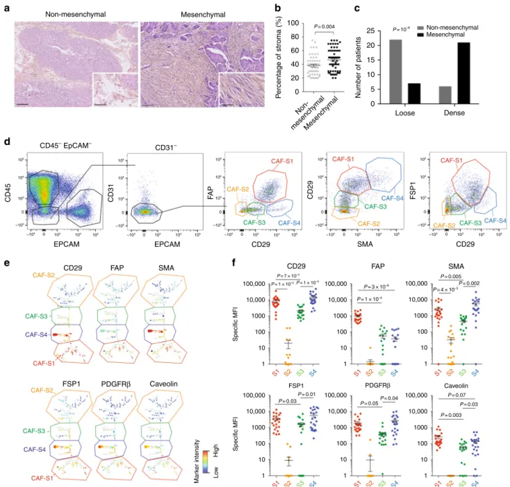 Fig. 1 Identi ﬁ cation of four CAF subsets in HGSOC. a Representative view of HES staining of non-mesenchymal and mesenchymal HGSOC sections (Institut Curie cohort)