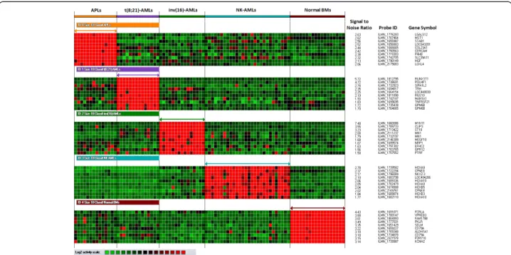 Figure 1 Heatmap of the 40 markers used to define the four AML classifiers allowing the assignment of all Training Set AML samples to the correct class