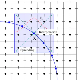 Figure 4.4 : Illustration of interpolation and spreading procedures of Uhlmann (2005) and Kempe &amp; Fröhlich (2012a) with a discrete delta function