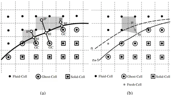 Figure 4.6 : Ghost-cell methodology of Mittal et al. (2008): (a) Identification of the ghost-cell (GC), the image point (IP), and the boundary intercept (BI); (b) The emerged fresh cells due to boundary motion.